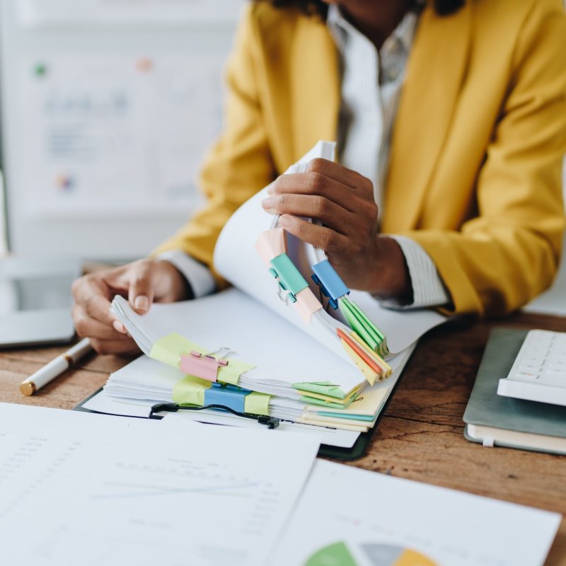 financial, Planning, Marketing and Accounting, portrait of african american employee checking